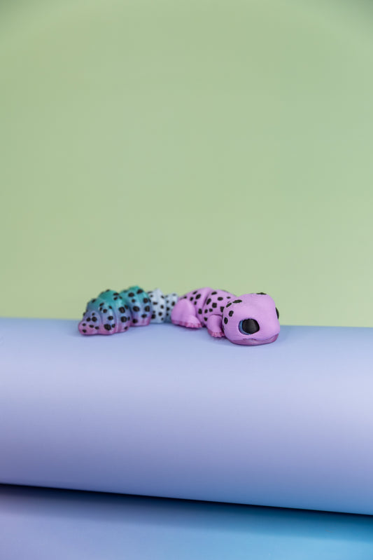 Gecko