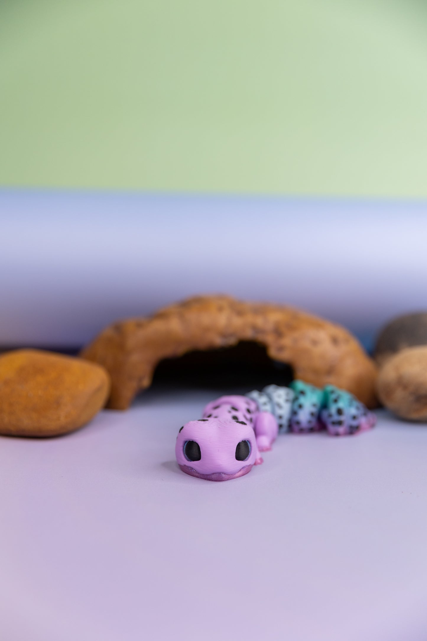 Gecko