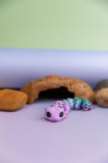 Gecko