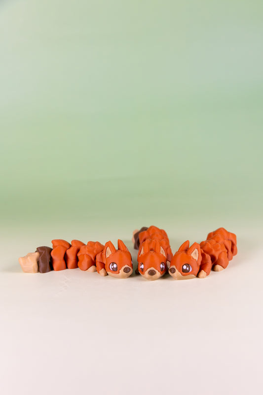 Squirrel