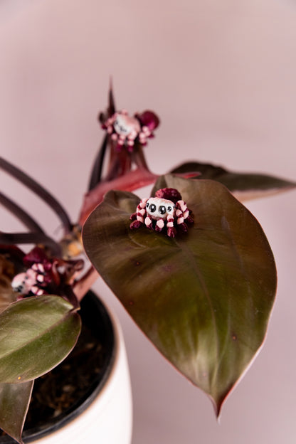 Jumping Spider