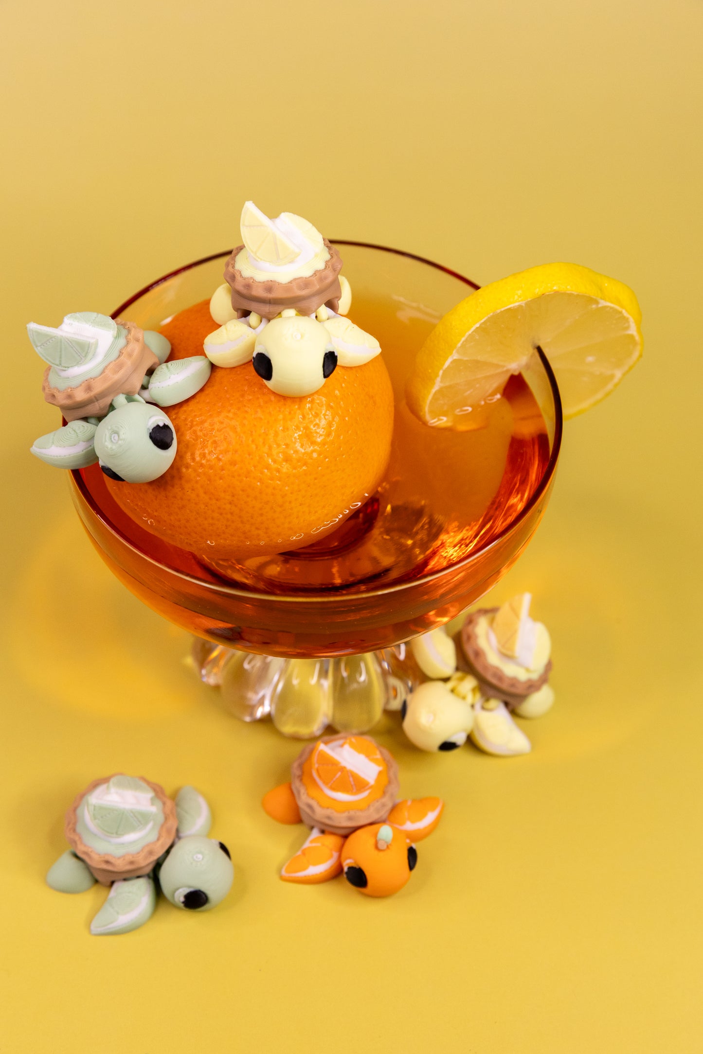 Citrus Turtle